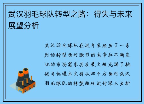 武汉羽毛球队转型之路：得失与未来展望分析